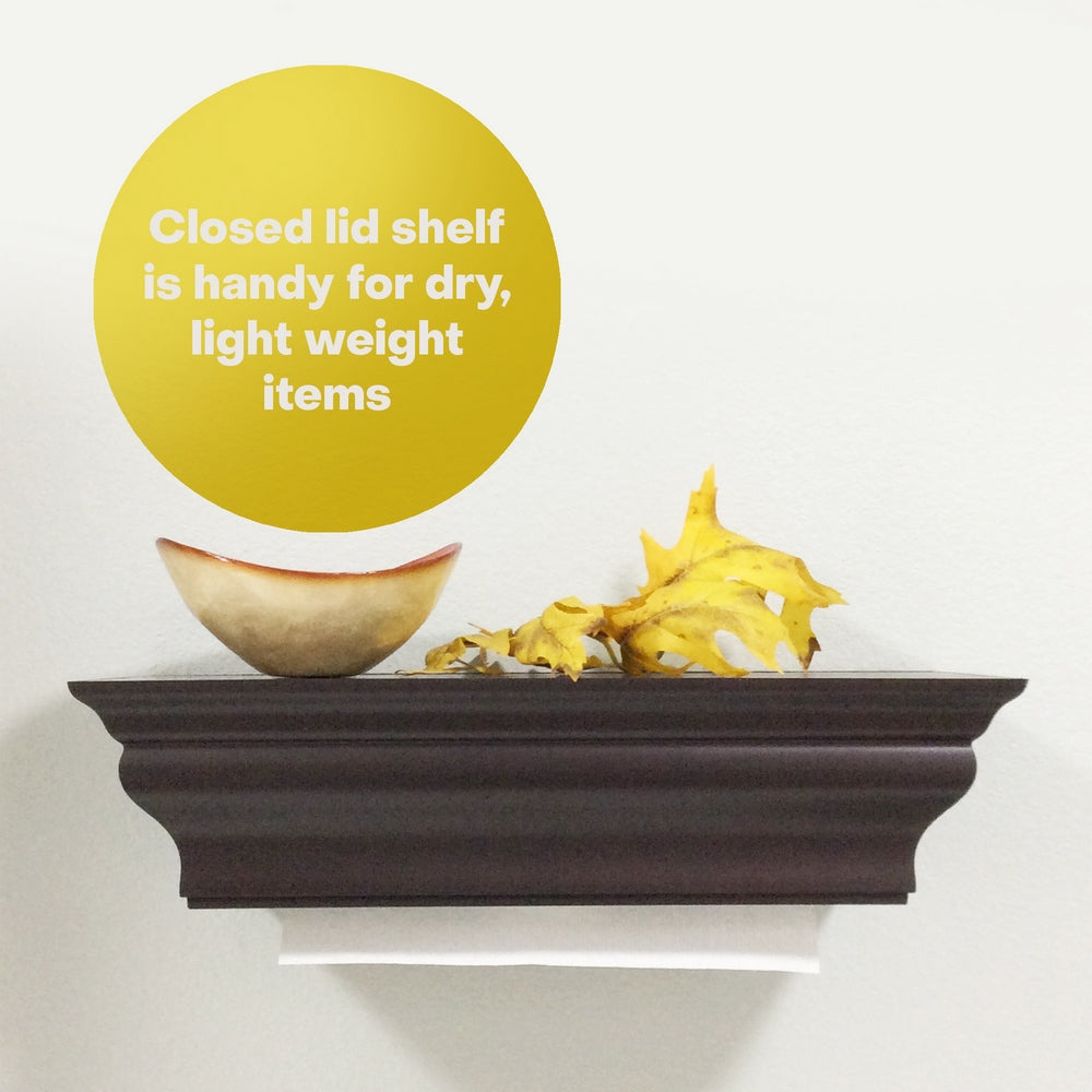 HealthyShelf Paper Towel Dispenser Wall Mount Shelf Espresso - HealthyShelf